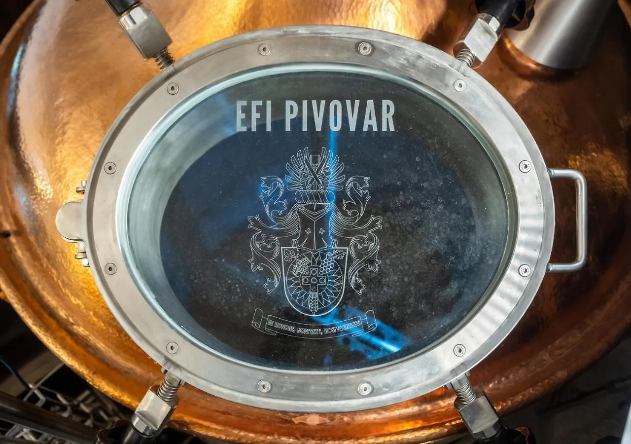 ****  Efi Spa Hotel Superior & Pivovar Brno Czech Republic